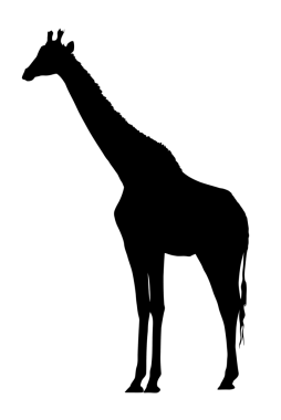 yan profil resmi büyük zürafa ayakta silueti