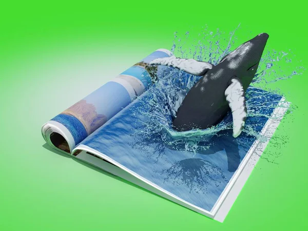 鲸鱼在杂志上的水里游泳 3D渲染 — 图库照片