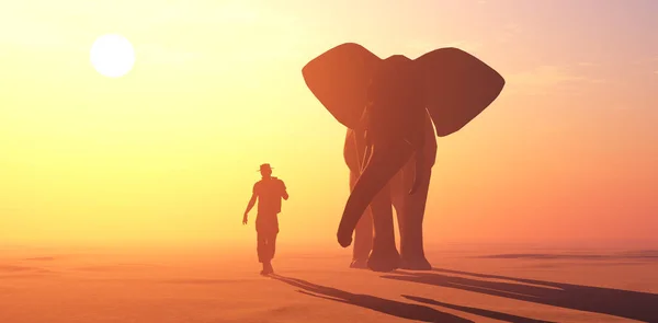 Fil Insanlar Gün Batımında Görüntüleme — Stok fotoğraf