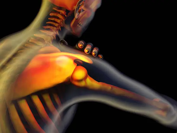 Графічне Зображення Людського Скелета Рендеринга Ліцензійні Стокові Фото