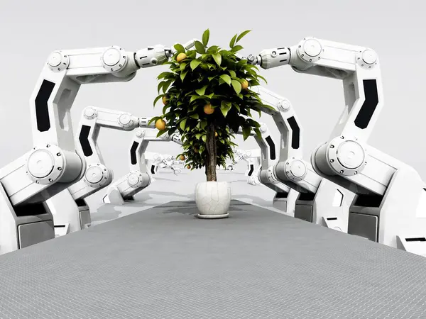 Robot Mekanis Mengoleksi Jeruk Dari Pohon Stok Gambar Bebas Royalti