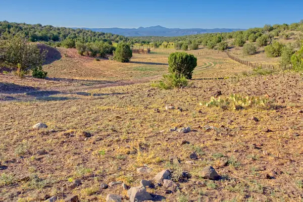 Dam Cattle Tank Corral Prescott National Forest Arizona East Chino —  Fotos de Stock