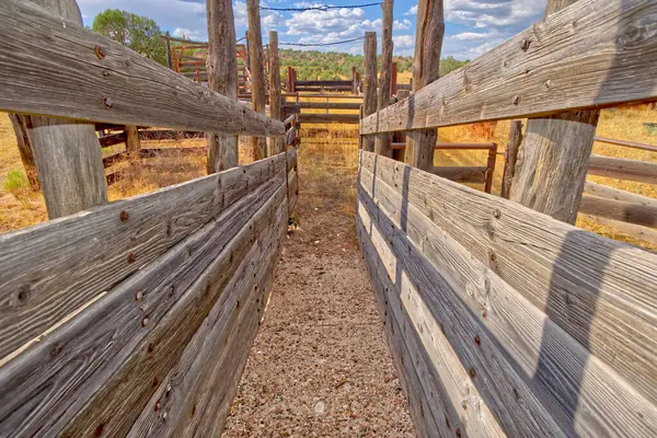 Забытый Загон Скота Национальном Лесу Прескотта Востоку Полдена Аризона Территория — стоковое фото