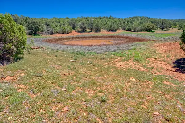 亚利桑那州Ashfork附近大黑梅萨镇土堆顶部棉花槽牛塘景观 — 图库照片