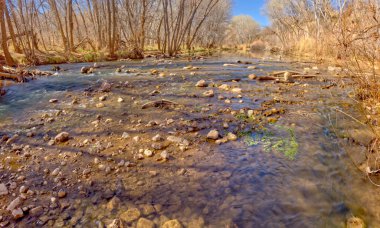 Ölü At Çiftliği Eyalet Parkı Arizona 'daki Greenway Patikası boyunca Verde Nehri' nin sığ bir bölümü..