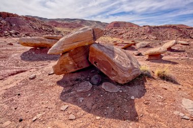 Petrified Forest Ulusal Parkı 'ndaki Kachina Point' in altındaki Kırık Taşlar. Uzun zaman önce düşmüş uzun bir Hoodoo olabilir..