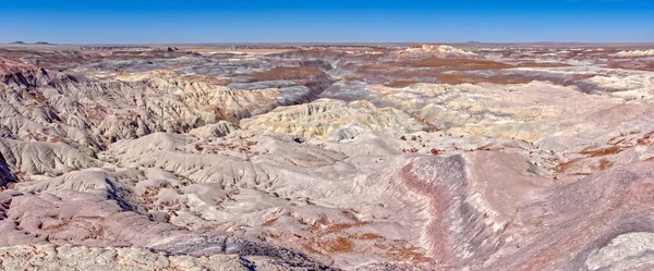 Vista Panorámica Del Desierto Pintado Bosque Azul Del Parque Nacional — Foto de Stock