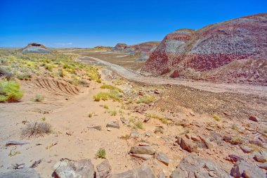 Petrified Forest Ulusal Parkı Arizona 'daki Red Basin' in batı yakasında Billings Geçidi 'nden geçen bir servis yolu..