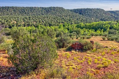 Cehennem Kanyonu 'nun, Bear Kanyonu' nun ve Paulden Arizona yakınlarındaki Prescott Ulusal Ormanı 'ndaki Verde Nehri' nin kesiştiği yerin kalıntıları..