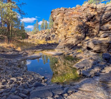 Pomeroy Tankları olarak bilinen Sycamore Falls yakınlarındaki birkaç doğal göletten biri. Williams Arizona yakınlarındaki Kaibab Ulusal Ormanı 'nda..