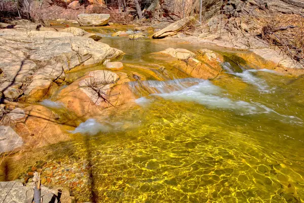 A section of West Fork Creek where the creek bed has a golden glow due to the way the sun reflects off the bottom beneath the water.