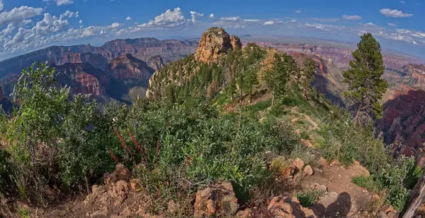 Vrchol Tritle Peak Roosevelt Point Grand Canyon North Rim Arizona — Stock fotografie