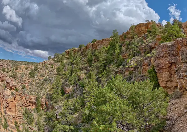 Widok Punkt Navajo Dołu Jego Klifów Grand Canyon South Rim — Zdjęcie stockowe