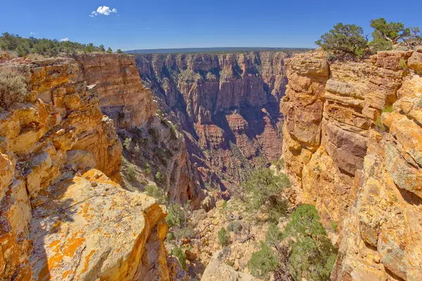 Vista Zuni Point Distância Leste Papago Creek Grand Canyon Arizona — Fotografia de Stock