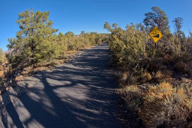 Grand Canyon Arizona 'daki Pima Point ve Monument Creek Vista arasındaki Greenway Patikası..