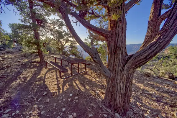 Samotny Stół Piknikowy Wschód Shoshone Point Grand Canyon Arizona Public — Zdjęcie stockowe