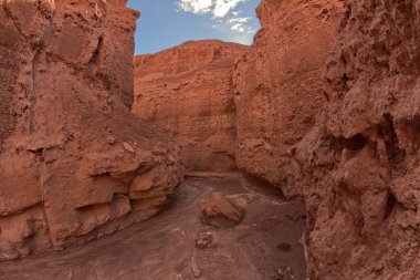 Glen Canyon Eğlence Bölgesi Arizona 'da Paria Canyon' da dar bir kanyon dalları..