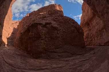 Glen Canyon Eğlence Bölgesi Arizona 'da Paria Canyon' da dar bir kanyon dalları..