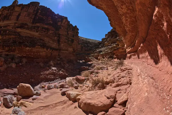 Wąski Zakręt Południowym Widelcu Kanionu Soap Creek Marble Canyon Arizona — Zdjęcie stockowe