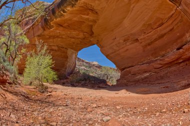 Utah Doğal Köprüler Ulusal Anıtı 'ndaki Kachina Köprüsü. Adını Hopi Kachina dansçılarından almıştır..