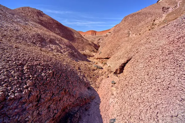 Petrified Forest Ulusal Parkı Arizona 'daki Kızıl Orman' da V şeklinde bir kanyon..