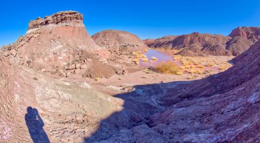 Arizona 'daki Taşlaşmış Orman Ulusal Parkı' nda Tiponi Düzlükleri adında bataklık bir su kaynağı..