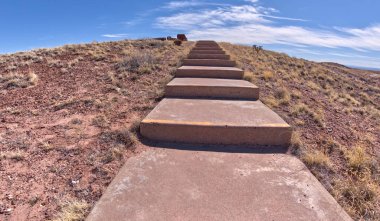 Petrified Forest Ulusal Parkı Arizona 'da manzaralı bir manzaraya giden dev kütük patikası boyunca adımlar..