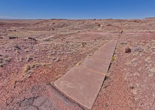 Petrified Forest Ulusal Parkı Arizona 'da manzaralı bir manzaraya giden dev kütük patikası boyunca adımlar..