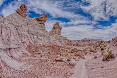 Taşlaşmış Orman Ulusal Parkı Arizona 'daki Mavi Mesa' nın altındaki vadide uzun hudu kuleleri..
