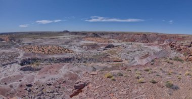 Taşlaşmış Orman Ulusal Parkı Arizona 'daki Hamilili Point' in batısındaki Crystal Mesa 'nın zirvesinden görüntü.