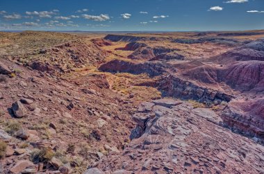 Arizona 'daki Petrified Forest Ulusal Parkı' nda bir kanyon Ölü Yıkama 'ya akıyor..