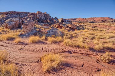 Piles of boulders on the edge of Dead Wash in Petrified Forest National Park Arizona. clipart