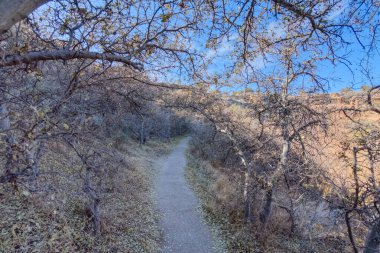 Arizona 'daki Montezuma Kuyusu Ulusal Anıtı' nın yolu Swallet Harabeleri 'ne çıkıyor..