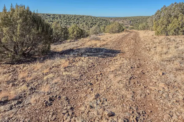 Arizona 'daki Kaibab Ulusal Ormanı' nda Orman Hizmetleri Yolu 709. Bu yol Corva Yolu 'ndan ayrılıyor ve bakımsız. Çubuk Kış Tankı Kampı 'na gidiyor..