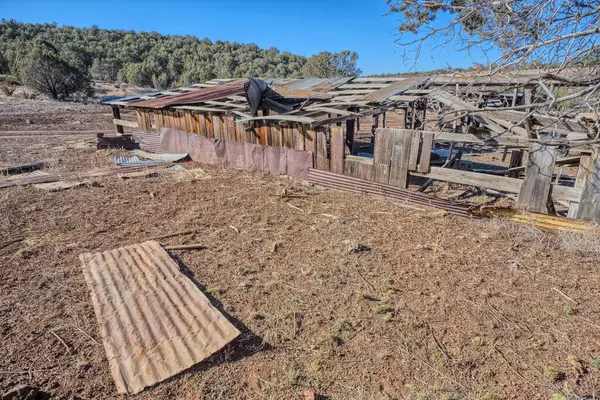 Arizona Kaibab Ulusal Ormanı 'ndaki Rods Kış Kampı' nın terk edilmiş eski çiftliği. Kamu arazisi, mülke izin gerekmiyor.