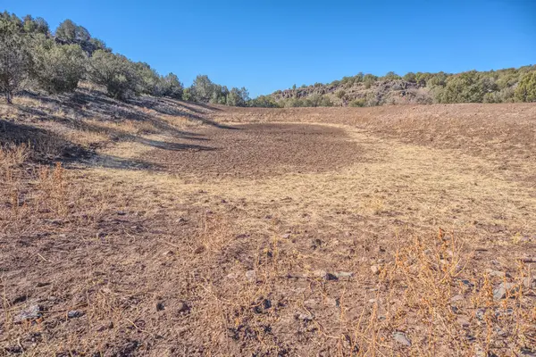 Arizona 'daki Kaibab Ulusal Ormanı' nda Rods Kamp Tankı adında bir sığır için yapay bir gölet. Bu gölet şu anda kuru..