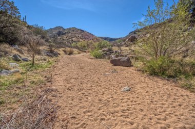 Arizona Agua Fria Ulusal Anıtı 'ndaki Badger Springs Creek Kanyonu.