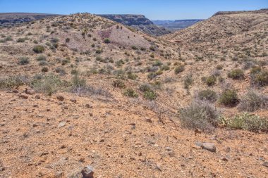 Arizona 'nın kuzeyindeki Agua Fria Ulusal Anıtı' ndaki Richinbar Madeni manzarası. Benimki 1905 'te kurulmuş ama sahibi olan şirket 1940' ta iflas edince terk edilmiş. Şimdi de Ulusal Park Hizmetleri 'ne ait..