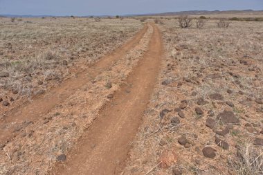 Agua Fria Ulusal Anıtı 'nda, Silver Creek Kanyonu yakınlarındaki 9023 numaralı Orman Servis Yolu' ndan ayrılan ilkel bir yol..