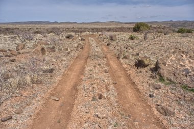Agua Fria Ulusal Anıtı 'nda, Silver Creek Kanyonu yakınlarındaki 9023 numaralı Orman Servis Yolu' ndan ayrılan ilkel bir yol..