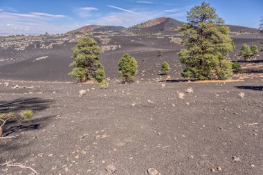 Arizona 'da Sunset Krater Ulusal Anıtı yakınlarındaki Coconino Ulusal Ormanı' nda volkanik kül tepeleri.
