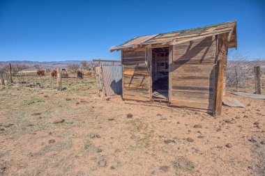 Arizona Black Canyon City 'nin kuzeyindeki Agua Fria Ulusal Anıtı' nda aktif bir sığır ağılının yanında terk edilmiş bir kulübe. Kamu arazisi. Mülk iznine gerek yok.