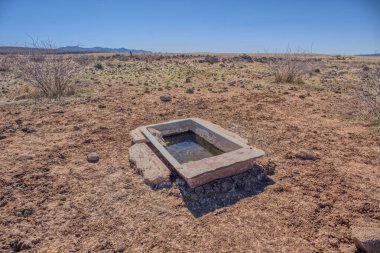 Arizona 'nın kuzeyindeki Agua Fria Ulusal Anıtı' nda sığır ve vahşi yaşamı sulamak için kullanılan iyi beslenmiş bir yalak..