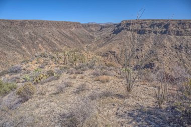 Arizona 'nın Agua Fria Ulusal Anıtı' ndaki Agua Fria Nehri 'ne bakan manzaralı bir sırt..