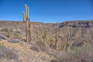 Arizona 'nın Agua Fria Ulusal Anıtı' ndaki Agua Fria Nehri 'ne bakan manzaralı bir sırt..