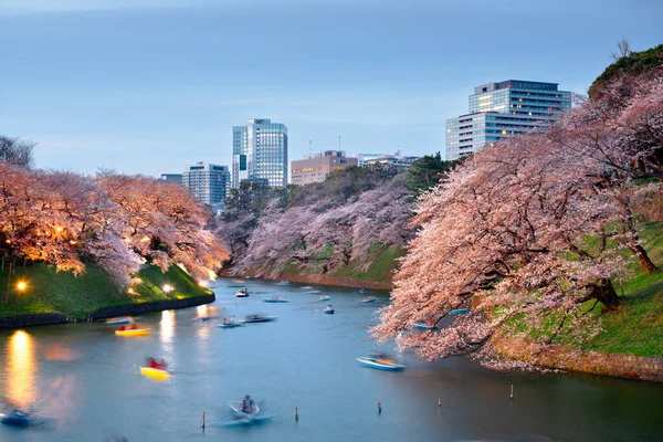 Tóquio Japão Fosso Palácio Imperial Chidorigafuchi Durante Temporada Primavera — Fotografia de Stock