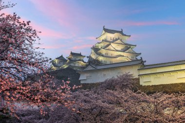 Nda bahar kiraz çiçeği sezonunda Himeji Kalesi Himeji, Japonya.