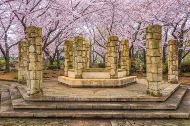 Bahar mevsimi boyunca Japonya 'nın Himeji kentindeki anıt.
