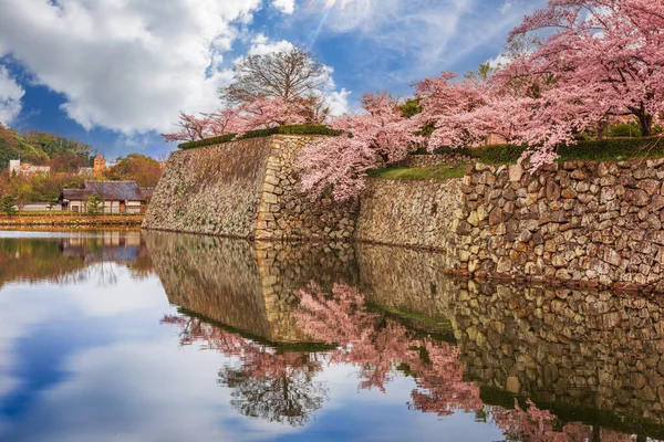 Himeji Japão Fosso Castelo Himeji Temporada Primavera — Fotografia de Stock