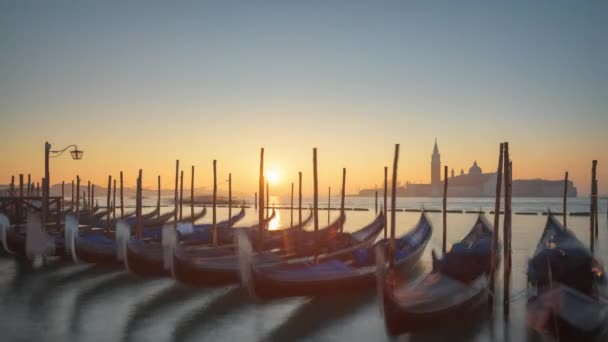 Gondolas Grand Canal Venice Italy Early Morning — Αρχείο Βίντεο